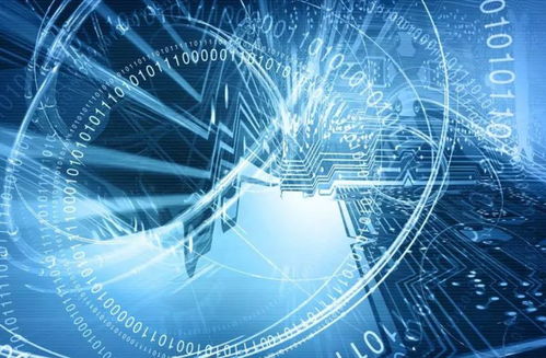 網絡清源 立法護航，技術賦能